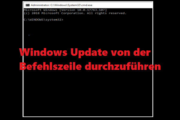 Laden Sie alle Windows-Updates herunter und installieren Sie sie
Überprüfen Sie, ob Ihr Computer mit dem Internet verbunden ist